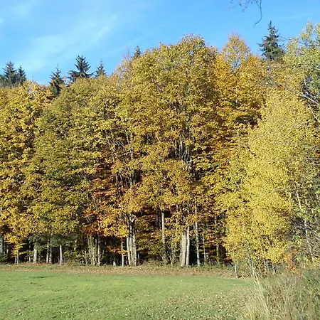 Apartment Grill Schonberg (Lower Bavaria)