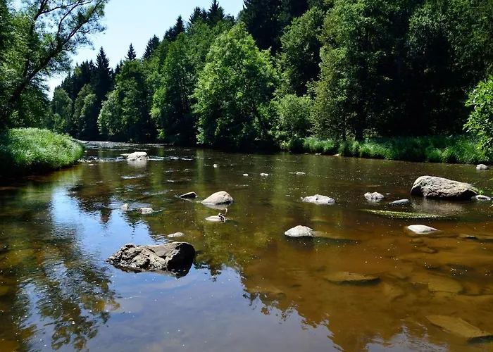 Grill * Schönberg